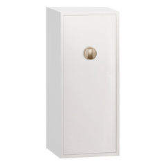 Prestige Biometric Closet Safe