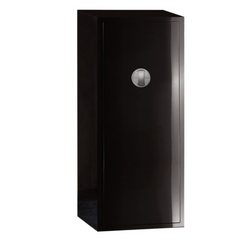 Discreet Biometric Closet Gun Safe