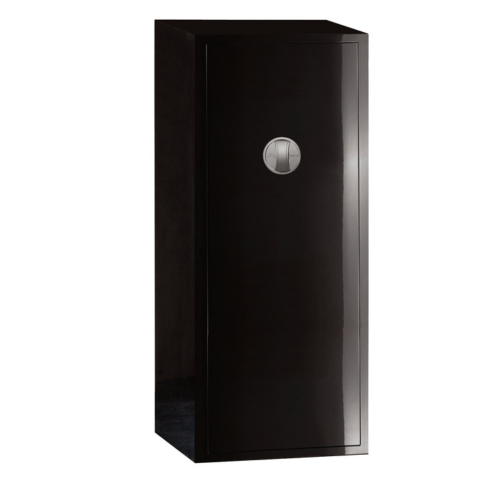 Discreet Biometric Closet Gun Safe