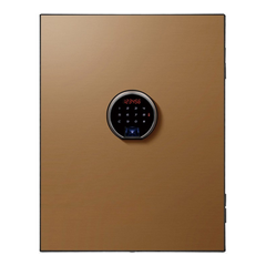 Smart Biometric Digital Safe