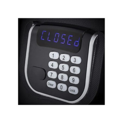 Electronic Compact Personal Safe