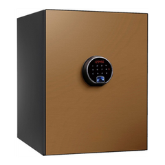 Smart Biometric Digital Safe