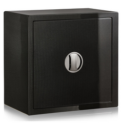 Biometric Luxe Closet Safe