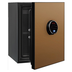 Smart Biometric Digital Safe