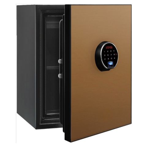 Smart Biometric Digital Safe