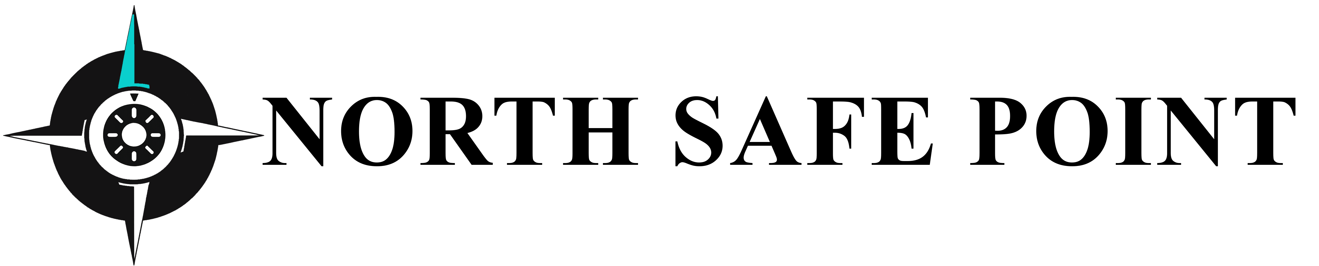 North Safe Point Inc.